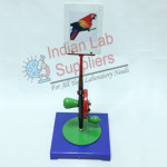 Parrot in Cage Model STEM Science Lab Demonstration Model